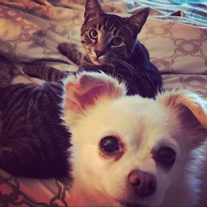 Meet your Posher, Heidi