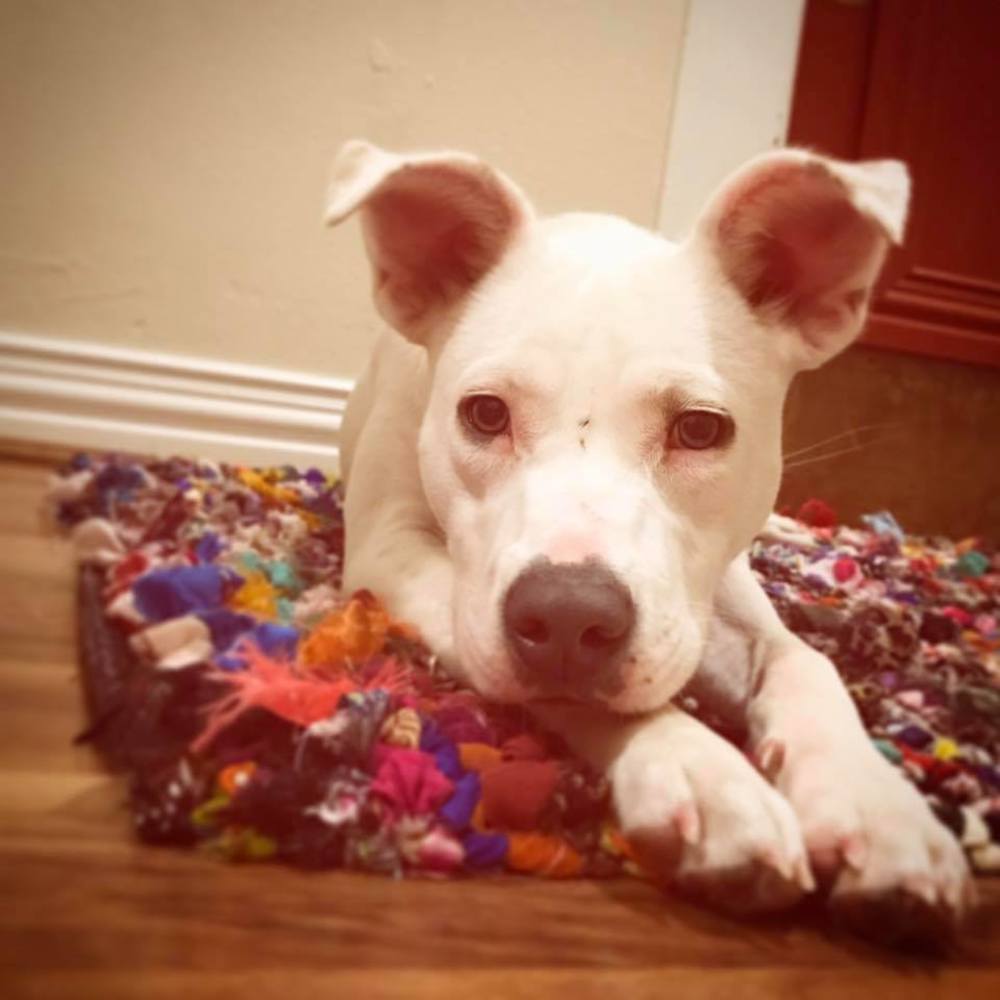 Meet your Posher, Michelle