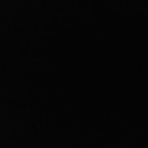 Meet your Posher, Wayne