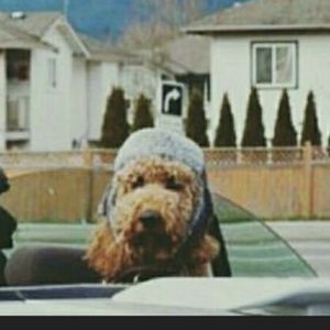 Meet your Posher, Eric