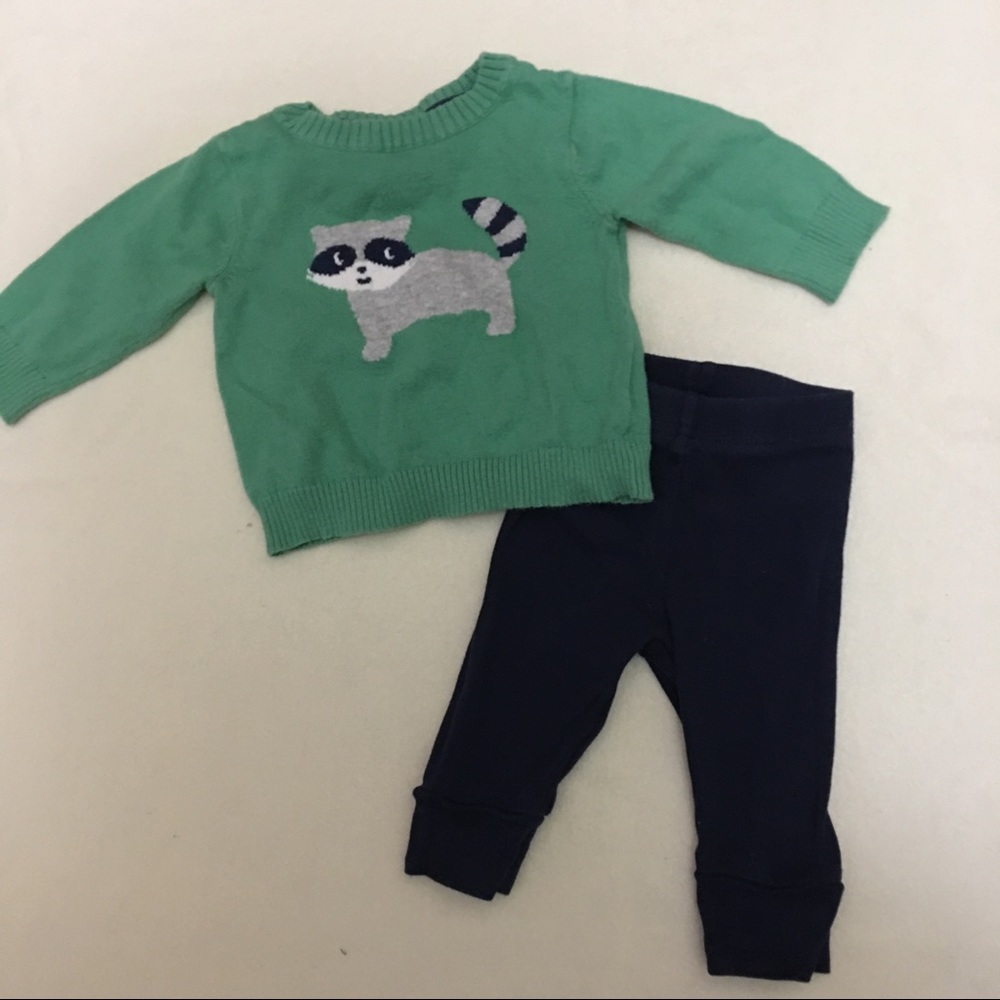 Raccoon sweater outfit