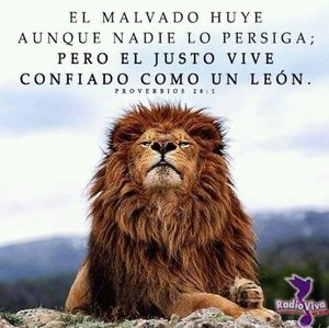 Meet your Posher, Javier