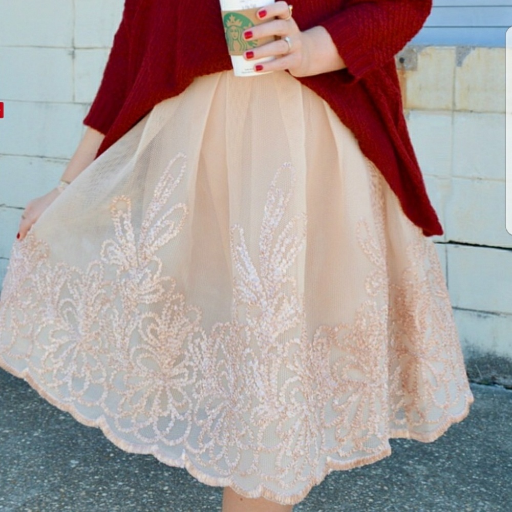 Endless rose embroidered mesh skirt