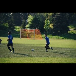 Meet your Posher, Brady