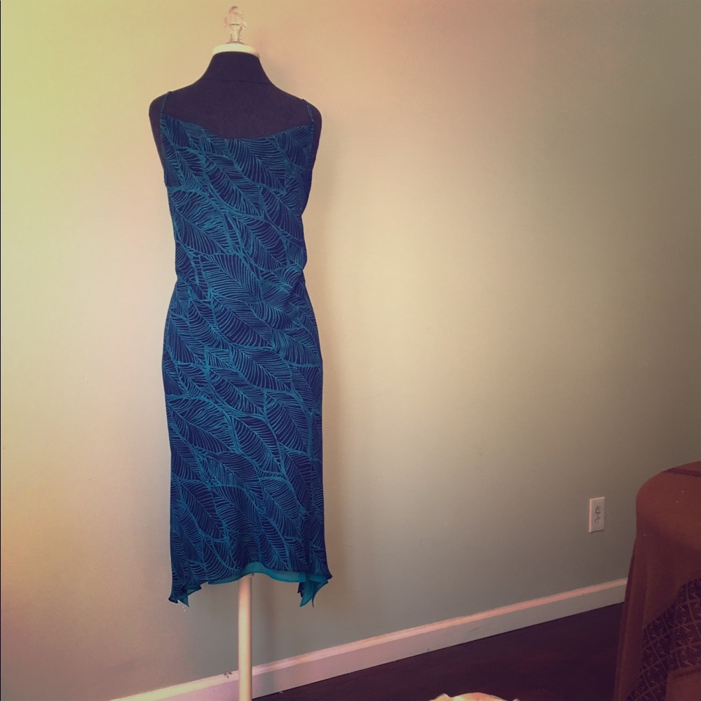 Express dress