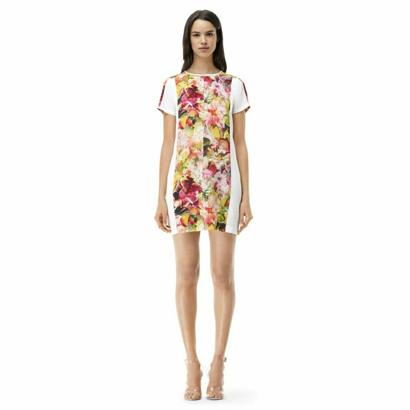 Club Monaco Dresses & Skirts - Club Monaco Melania Dress