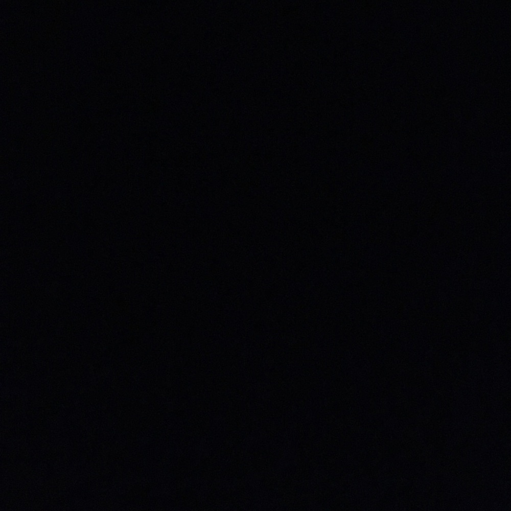 Meet your Posher, Bella