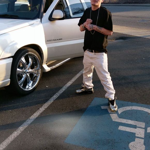 Meet your Posher, Prince - Picture 1 of 1