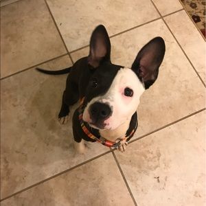 Meet your Posher, Ruth