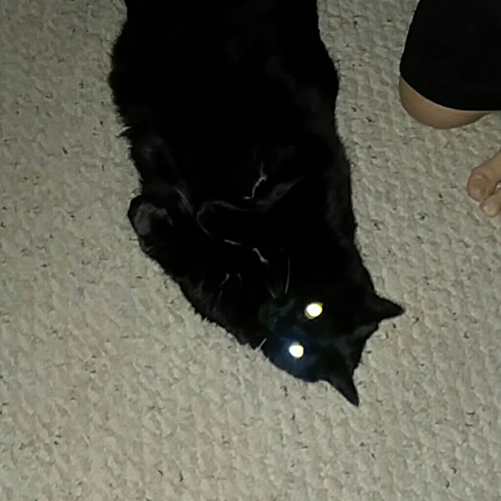 Meet your Posher, Julie