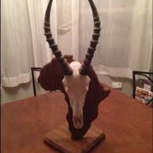 Meet your Posher, Joshua