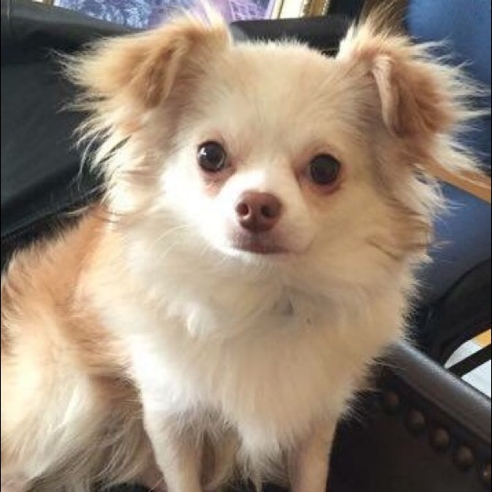 Meet your Posher, Nerm