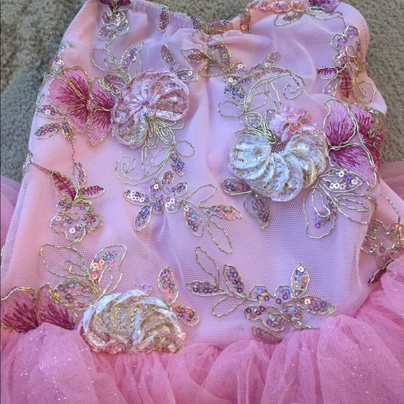 Girls size SC dance costume. Price firm - Picture 2 of 3