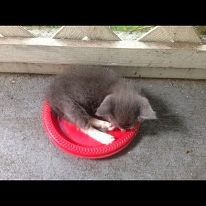 Meet your Posher, Debbie