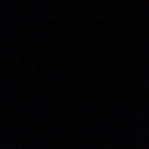 Meet your Posher, Darius