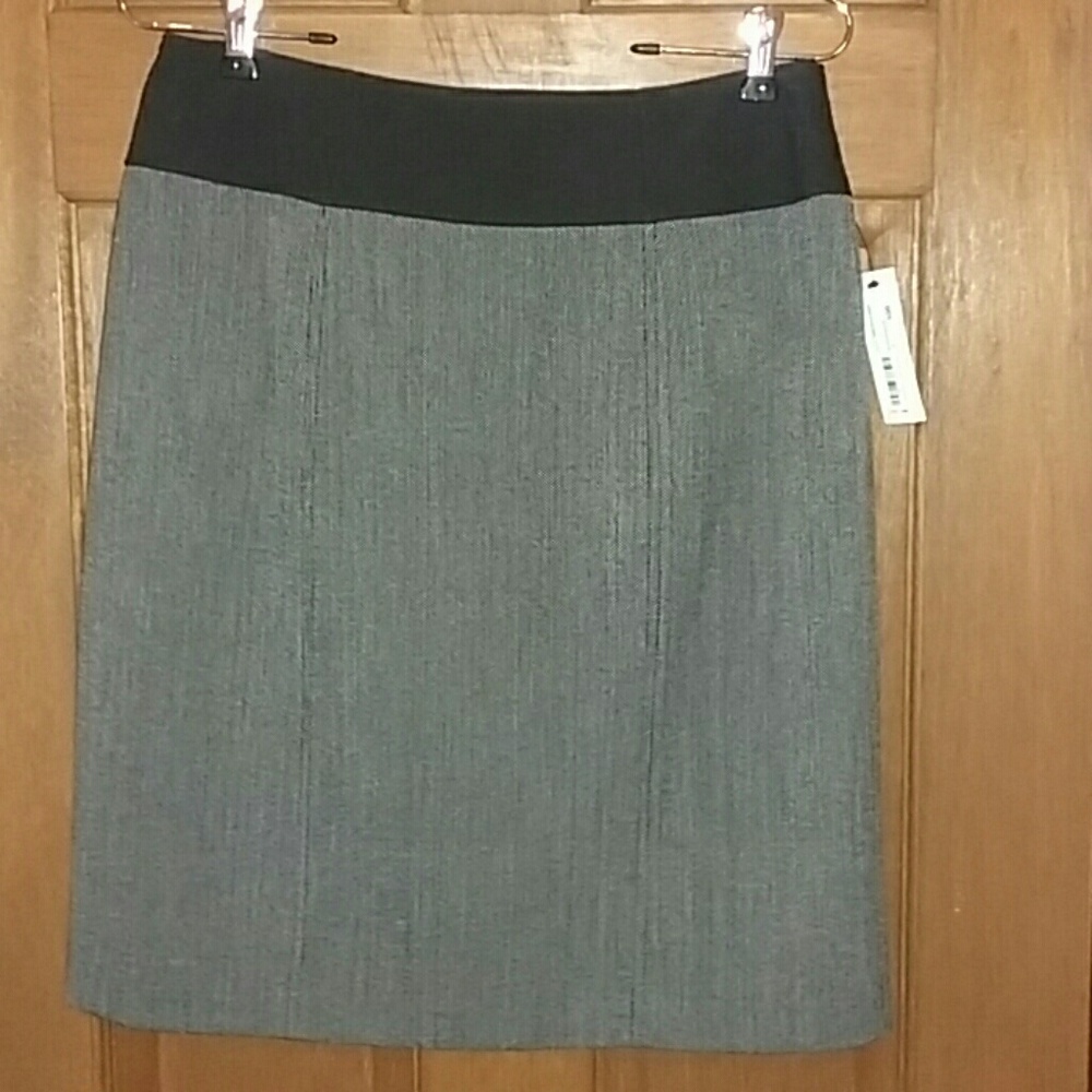 NWT Pencil Skirt