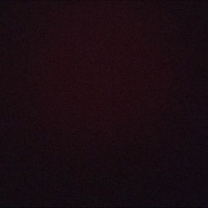 Meet your Posher, Shay