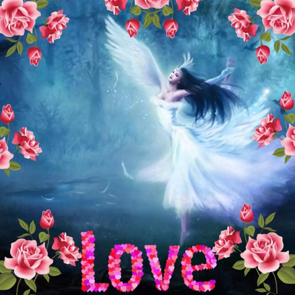 Meet your Posher, Venes