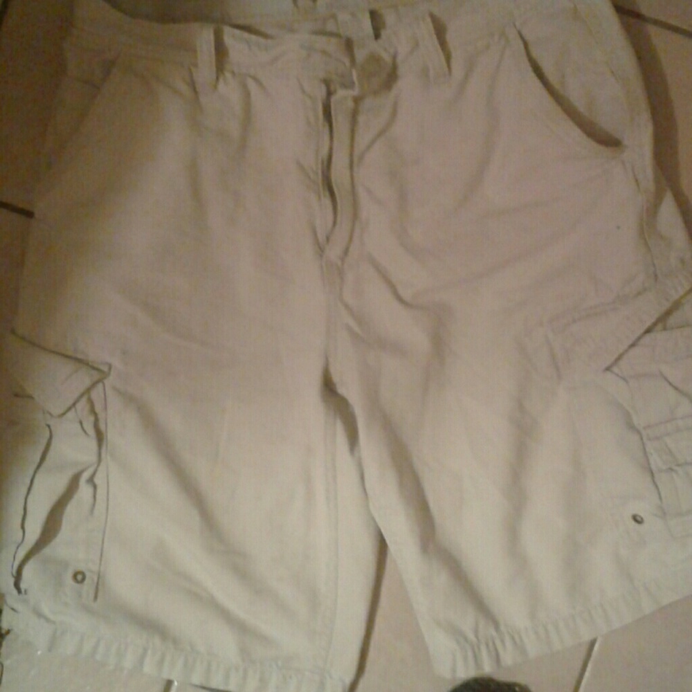 Plugo Catgo Shorts