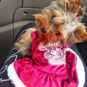 Meet your Posher, Malgorzata