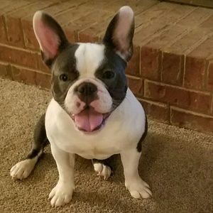 Meet your Posher, Donnell