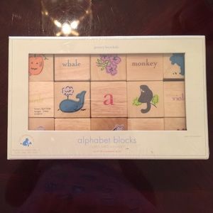 Pottery barn Kids alphabet blocks
