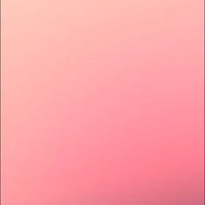 Meet your Posher, Rosa