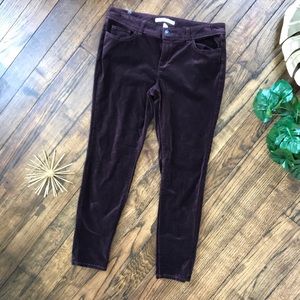 LC Lauren Conrad Velvet Skinny Pants