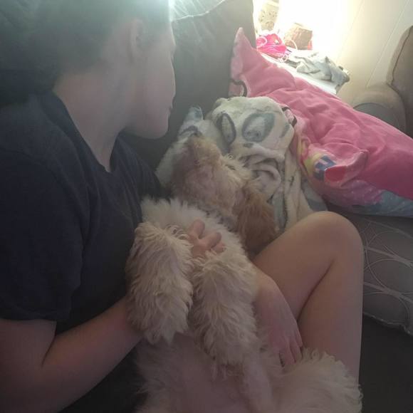 Meet your Posher, Abby - Picture 1 of 1