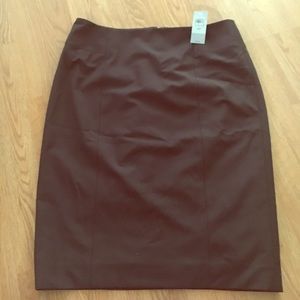 Ann Taylor skirt