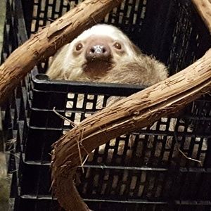 Meet your Posher, Stacie