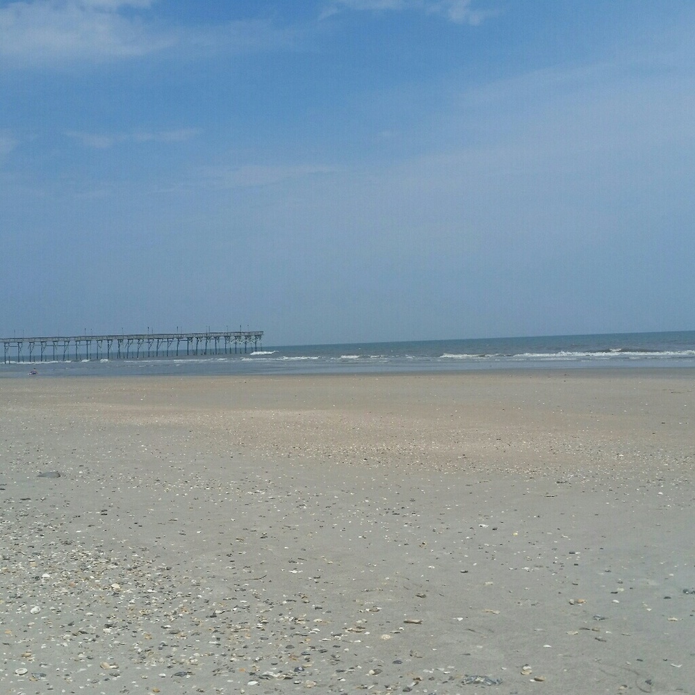 Meet your Posher, Leeanna