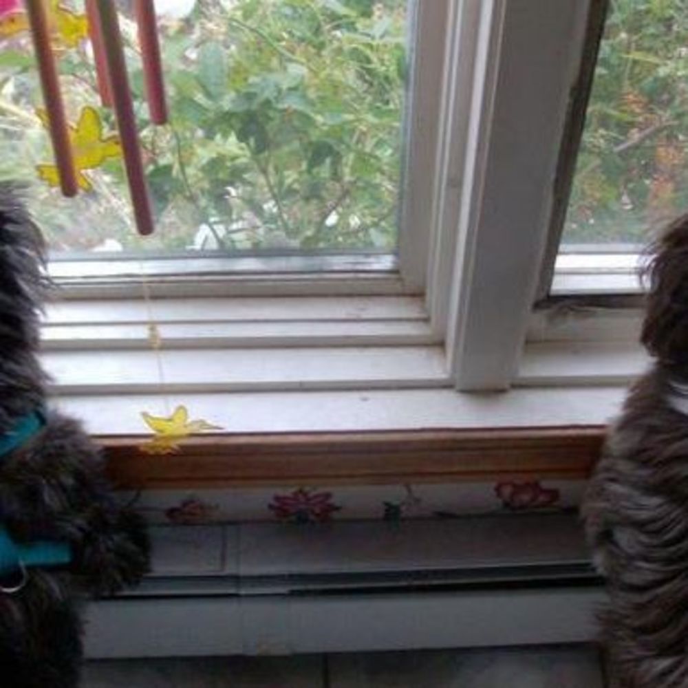 Meet your Posher, Susan