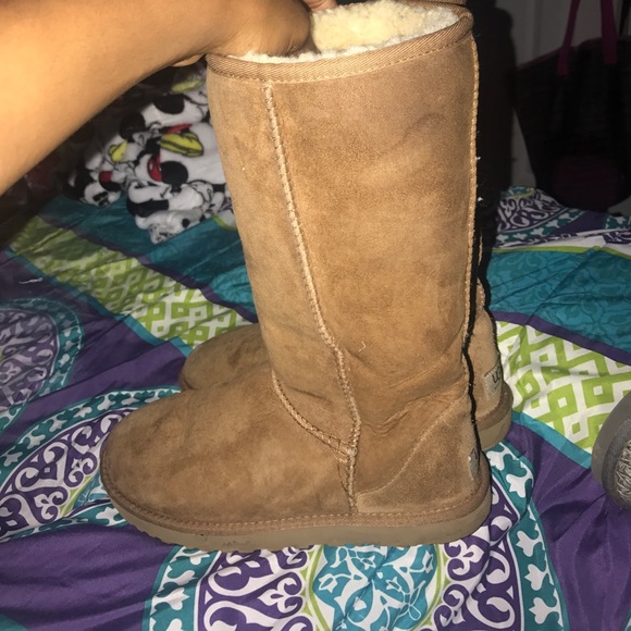 Uggs , not brand new. Have been worn. - Picture 3 of 6