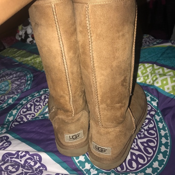 Uggs , not brand new. Have been worn. - Picture 4 of 6