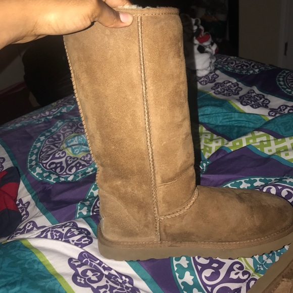 Uggs , not brand new. Have been worn. - Picture 5 of 6