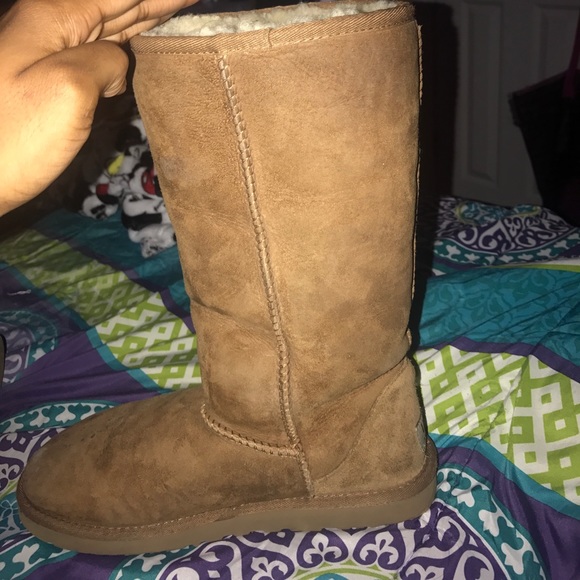 Uggs , not brand new. Have been worn. - Picture 6 of 6