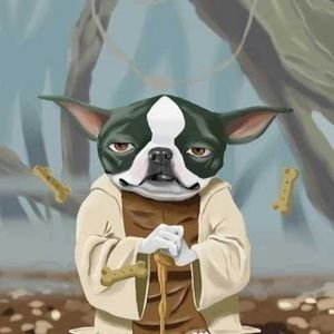 Meet your Posher, Maryjo