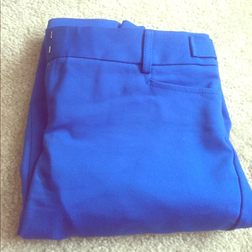 Blue express columnist dress pants .