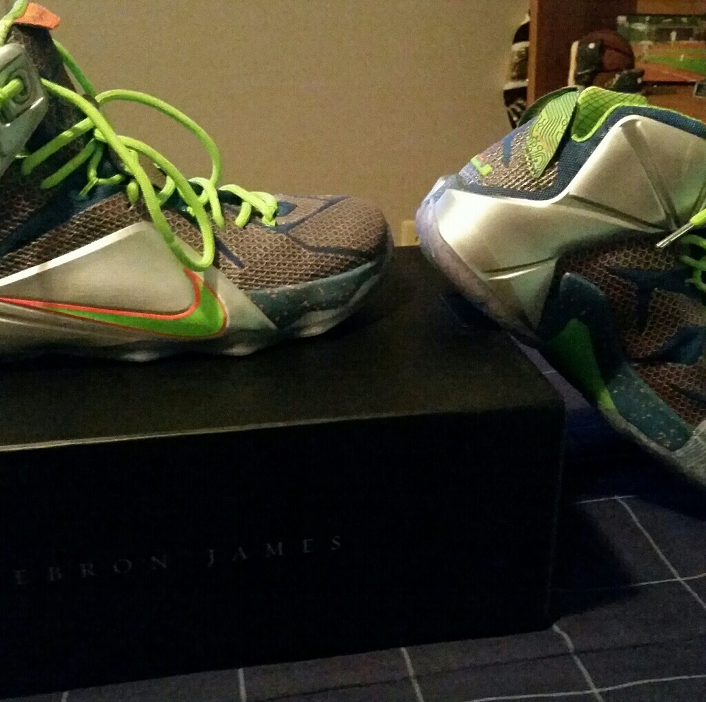 LeBron 12 trillion dollar man size 10