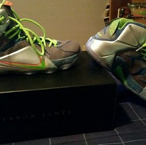 LeBron 12 trillion dollar man size 10
