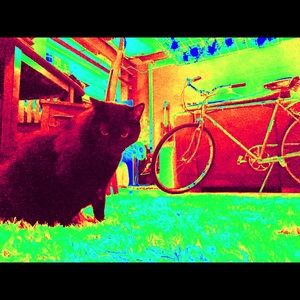 Meet your Posher, Andrea