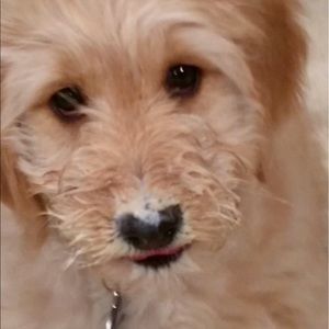 Meet your Posher, Eileen