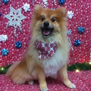 Meet your Posher, Hanna