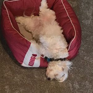 Meet your Posher, Ray