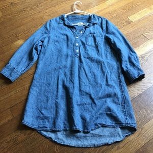 Southern Proper Denim Dress