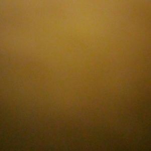 Meet your Posher, Jamine