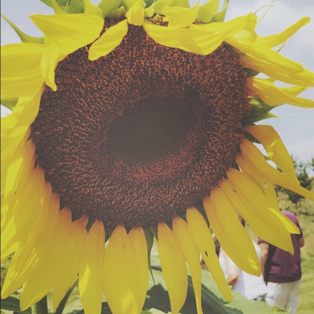 Meet your Posher, Sarah