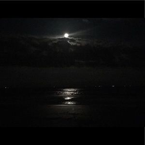 Meet your Posher, Iris