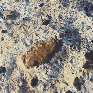 Meet your Posher, Logan